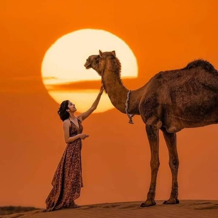 فندق نيم هافيلي جيلسامر المظهر الخارجي الصورة